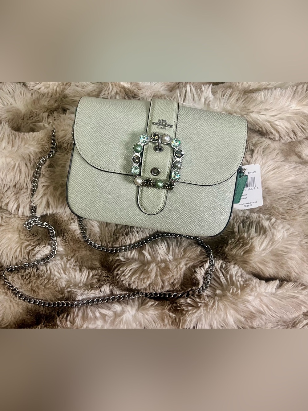 NWT Coach Gemma Crossbody in Pale Green Colorblock w/ jeweled buckle (MSRP $328)